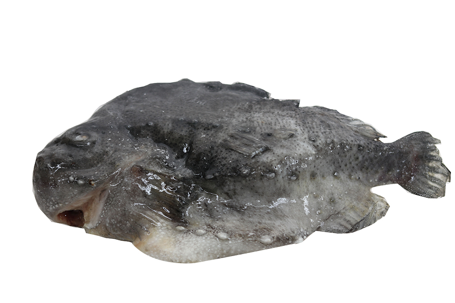 ���ޝO�ۃ�������